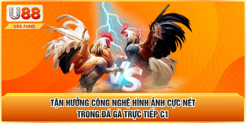Tận hưởng công nghệ hình ảnh cực nét trong đá gà trực tiếp c1